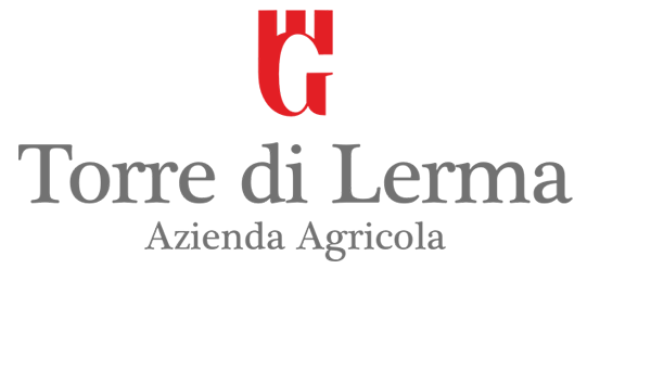 Torre di Lerma | Logo footer